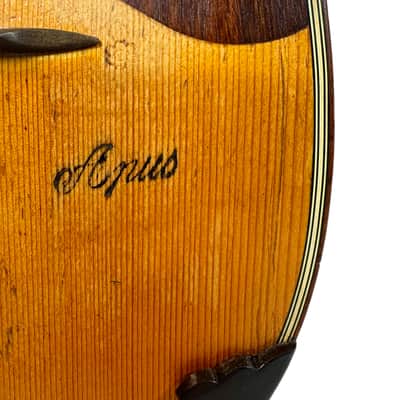 G. Kasermann Concert Mandolin (Apus Mark) 1920’s image 7