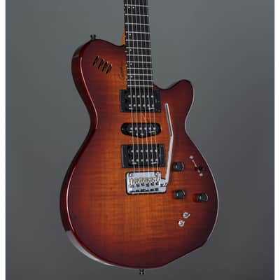 Godin xtSA Light Burst Flame incl. Gigbag - Electric Guitar image 4