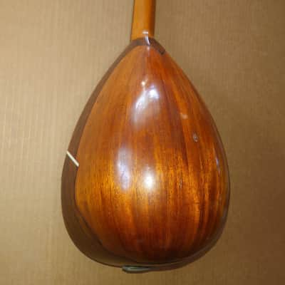 Rare Schwarzer Model 120 "Echo" bowl back mandolin Circa 1900 image 6
