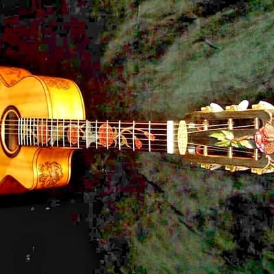 Acoustic Parlor Cutaway Guitar Handmade by Blueberry Butterflies Motif image 1