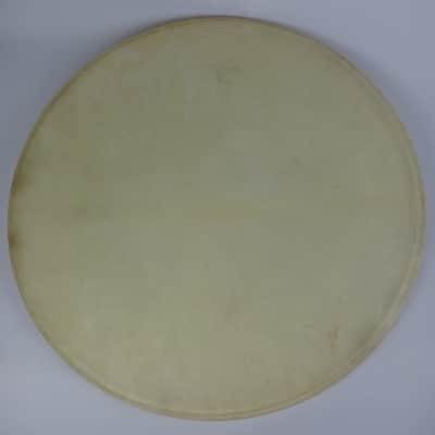 Leedy&Ludwig 22"Bass Drum Calfskin Head Vintage40s-50s Standard Hardwhite Batter image 1
