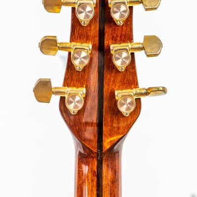 Daion The Year Series '81 Caribou - Brown (BR) - Electric Acoustic Six String image 12