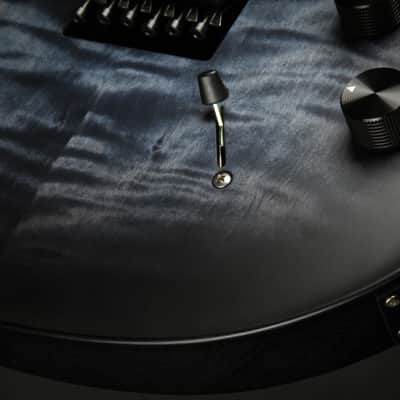PRS DW (Dustie Waring) CE 24 "Floyd" - Whale Blue Smokewrap Burst image 17