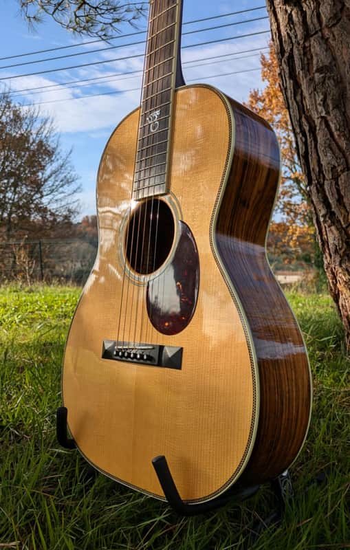 Santa Cruz OO Erik SKYE 2019 - Cocobolo image 1