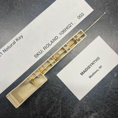 ORIGINAL Roland Replacement E Key (106H021) for Jupiter-4, System-100/700, SH-1/2/3/3A/5/7, RS-505, VP-330, Promars, etc image 3