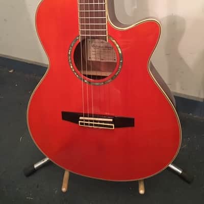 Ibanez AEG10NE image 1