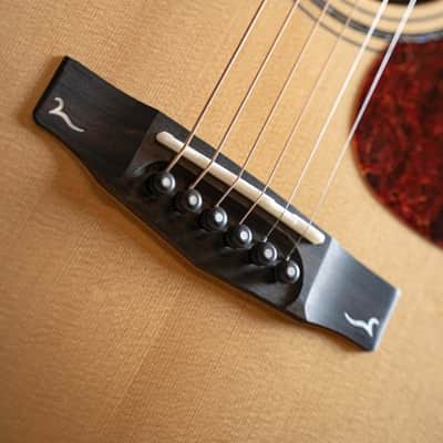 Cort Gold-OC6 Bocote Natural Glossy w/Gigbag (B Stock) image 3