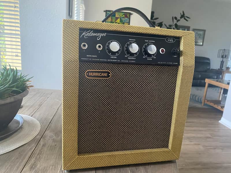 Kalamazoo Model Two Amp Black Panel