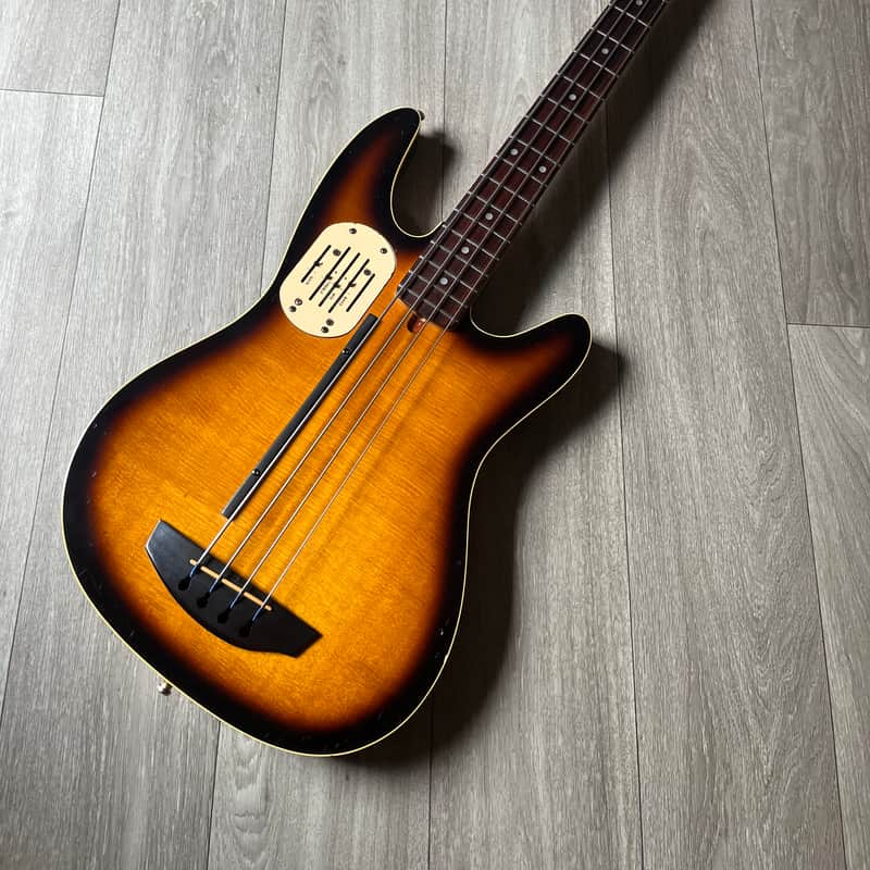 Godin L.R. Baggs Acoustibass Sunburst
