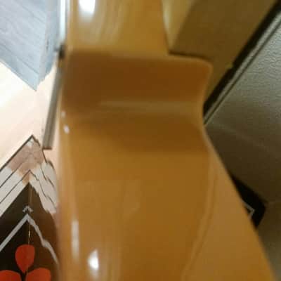 Blackguard Seymour Duncan Quarter Pounder Fender Telecaster Licensed WD Tele Neck Alnico Mini Humbucker image 7
