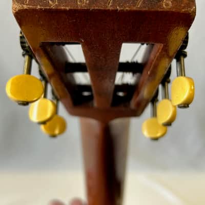 Washburn 1897 Style New Model -1890's image 19