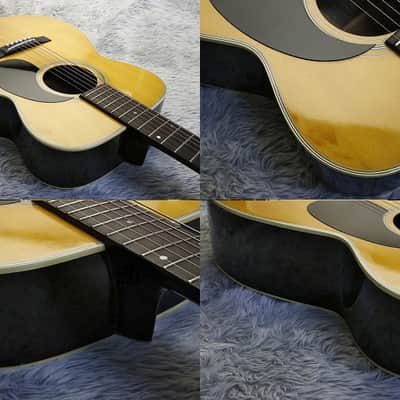 1975 Morris F-15 アコースティックギター Acoustic Guitar Morris F-15 Made in Japan Natural | eBay