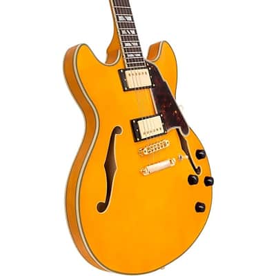 D'Angelico Excel DC Double-Cutaway Semi-Hollow Electric Guitar, Amber image 5