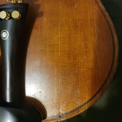 Oscar Wickberg Label Stradivarius Unknown  - Golden brown varnish image 5