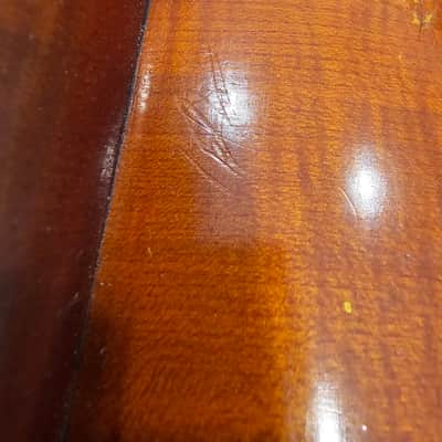 D Z Strad Model 250 Cello (1/2 Size) image 14
