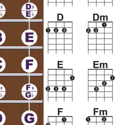 Beginner Ukulele Chords & Notes Poster PURPLE for Soprano Concert Tenor Uke by A New Song Music Easy image 2