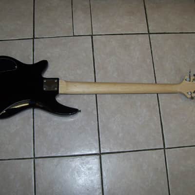 10 string bass guitar, New image 3