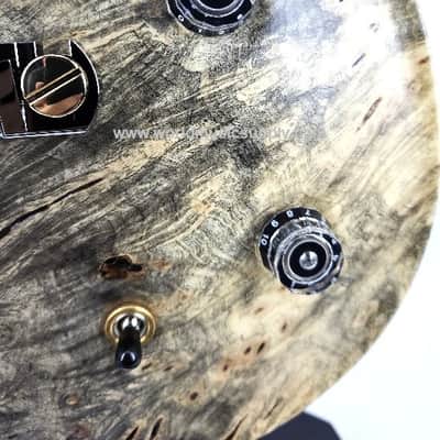 PRS Paul Reed Smith PRS-Private Stock-11904 McCarty Classic Serial# 0406448 image 5