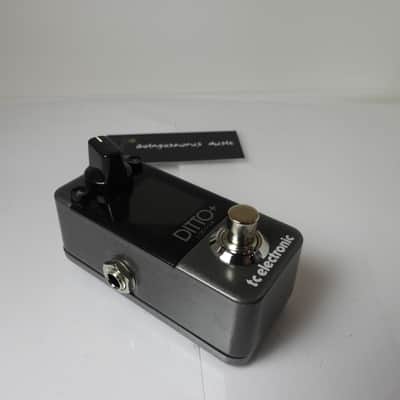 TC Electronics Ditto + Plus Looper Effects Pedal Phrase Sampler Free USA Ship image 2