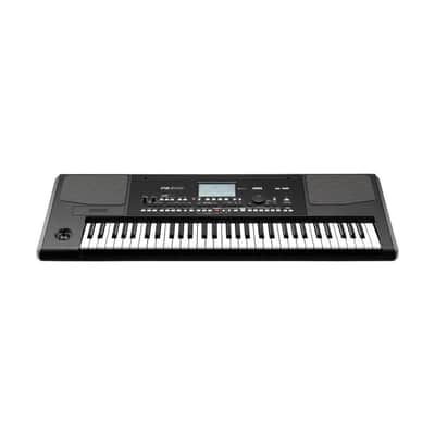 Korg PA300 61 Keys Professional Arranger, 950+ Sounds, USB-MIDI Interface, Color TouchView 5 (480x272 dots) TFT Display image 8