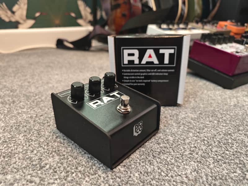 ProCo Rat 2