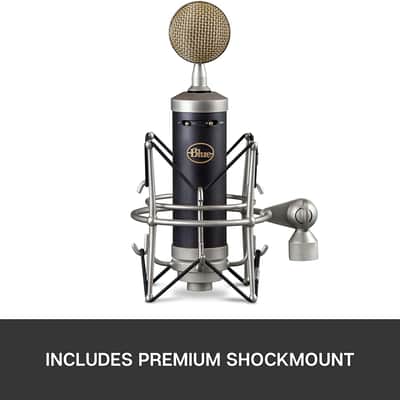 Blue Baby Bottle SL XLR Condenser Microphone for Recording and Streaming, Large-Diaphragm Cardioid C image 9