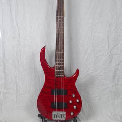 Peavey Fury 5 String Bass image 2