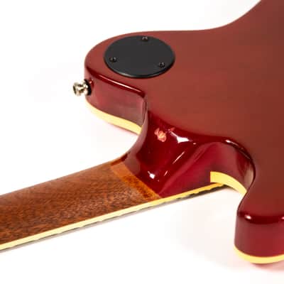 Hamburguitar Tele Style Guitar Owned by Mike Campbell image 24