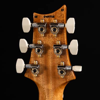 PRS Modern Eagle V 10-Top - Carroll Blue image 10