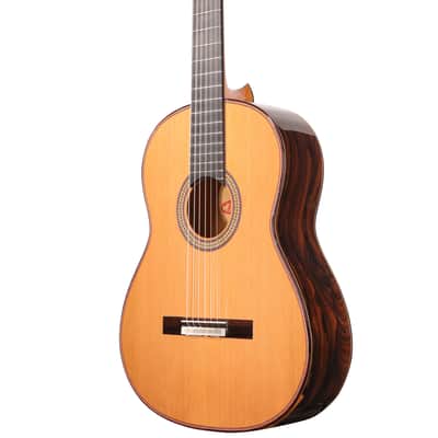 Manuel Adalid Homenaje - Cedar Double top/Solid Ziricoté back/sides - Handmade in Spain - 2025 image 13