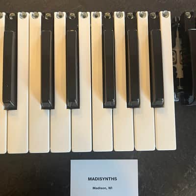 26 Replacement Keys BUNDLE (TP/9 Keybeds) for Nord Lead/Wave/Modular G2, Moog Minimoog (reissue), Voyager, Korg Prophecy, Novation Bass Station II, Ultranova, Waldorf Q/Q+, Micro Q, and more image 3