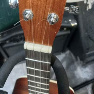 Kala ka-b 2015-2025 - satin mahogany image 2