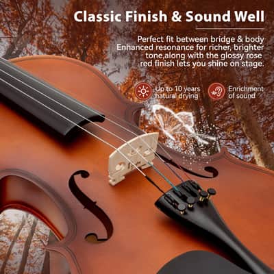 Stringed Musical Instruments - Premium Handcraft Violin for Kids Adults 4/4 Violin w/Case, Violin Bow, Horse Bridge, Extra Strings, Shoulder Rest, Rosin, Clip-on Tuners - Natural Matte image 4