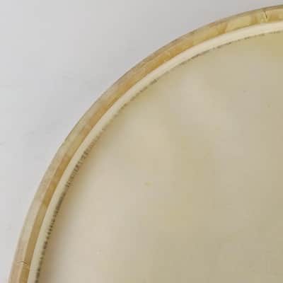 Gretsch 22"Broadkaster Calf Skin Bass Drum Head Professional Quality Vintage 50s image 8