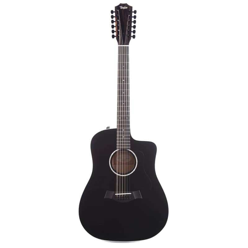 Taylor 250ce-BLK DLX image 1