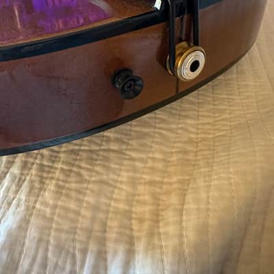 Schaefer 15" Custom Archtop image 8