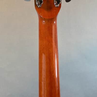 Zager ZAD-50/VS Acoustic Guitar USED image 4