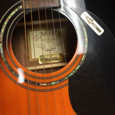 Zager ZAD-20/VS Sunburst image 4