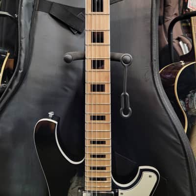 Slightly Used Schecter Stargazer 12 String Electric Guitar w/Bag image 5