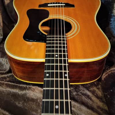 Guild D-50 Dreadnought Acoustic 1974 One Owner! Highly Figured Rosewood Back image 6