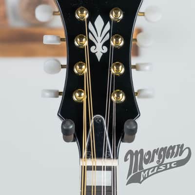 Ibanez M522S Mandolin- Dark Violin Sunburst Gloss image 3