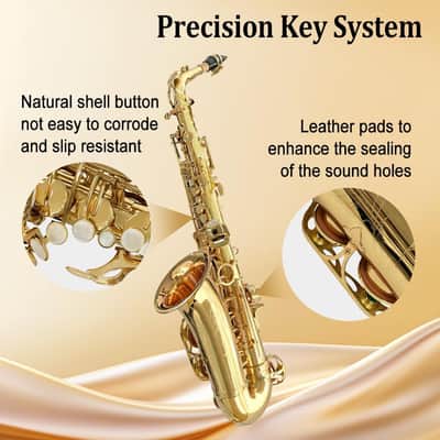 Eb Alto Saxophone For Beginners Adult,Saxophone Student,E Flat Alto Sax Full Kit With Reeds,Pads Cushions,Hard Carrying Case,Cleaning Cloth & Rod,Mouthpiece,Gloves,Neck Strap Gold image 4