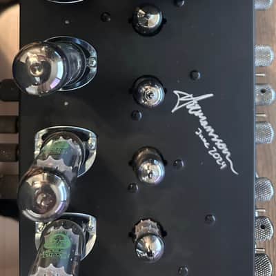 Hermansson Amplification: Mesa Boogie Triple Rectifier 150 Watt Amp image 5