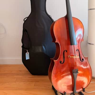 Professional 4/4 Workshop Cello – Larsen/Spirocore Setup – Bow & Phoenix Case Included Bild 6