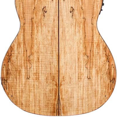 Cordoba C5-CET LTD Acoustic-Electric Classical Guitar image 6