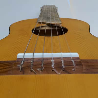 Yamaha Guitalele w/ pro LR Baggs FIVE.O Pickup - GL-1 6-String Ukulele image 1