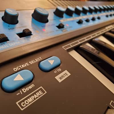 MUST SEE!!! NOVATION BASS-STATION FULLY INSPECTED SERVICED AND IN AMAZING CONDITION! image 11