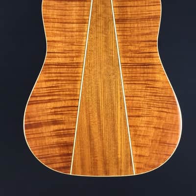 Michael Kelly Triad 10E, 10-String Acoustic/Electric Guitar image 8