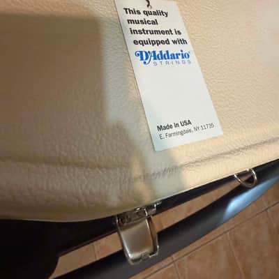 PRS D'Addario 1980's hang tag case candy image 2