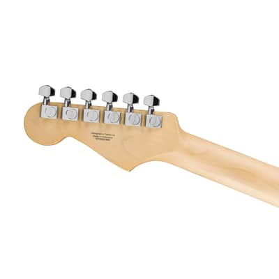 Fender Standard Stratocaster HSS LRL Black image 5